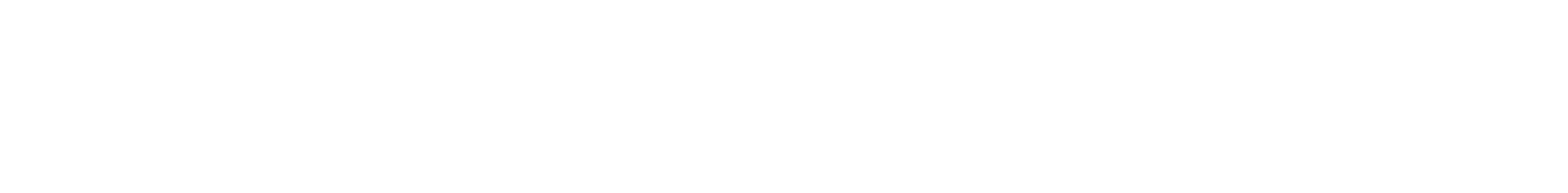 nvf-logo-white-transp